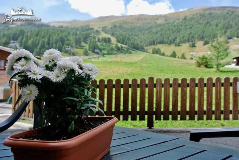Baita Epi Cusini By Livigno Accomodation Экстерьер фото