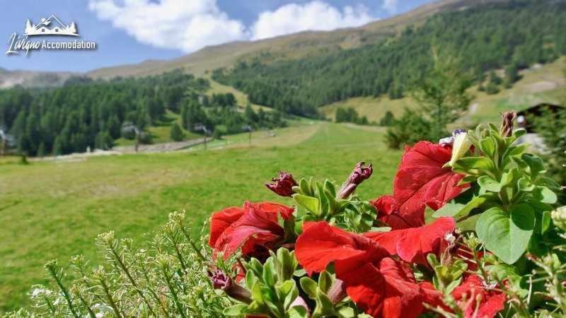 Baita Epi Cusini By Livigno Accomodation Экстерьер фото